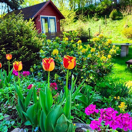 Velká Bukovina Bed And Breakfast Tvrz מראה חיצוני תמונה