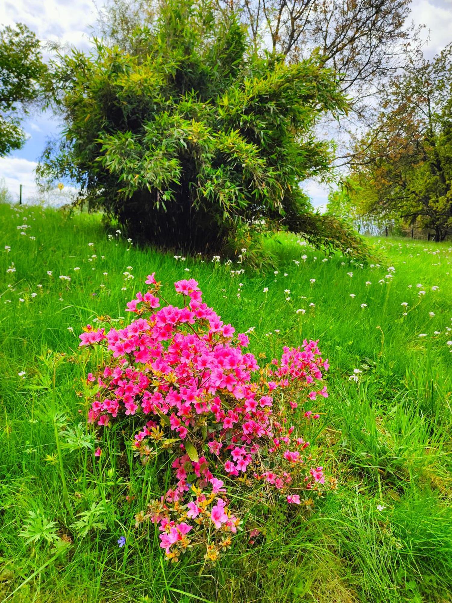 Velká Bukovina Bed And Breakfast Tvrz מראה חיצוני תמונה