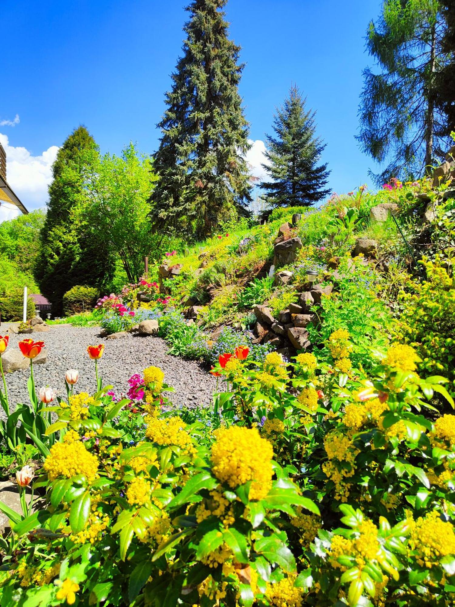 Velká Bukovina Bed And Breakfast Tvrz מראה חיצוני תמונה