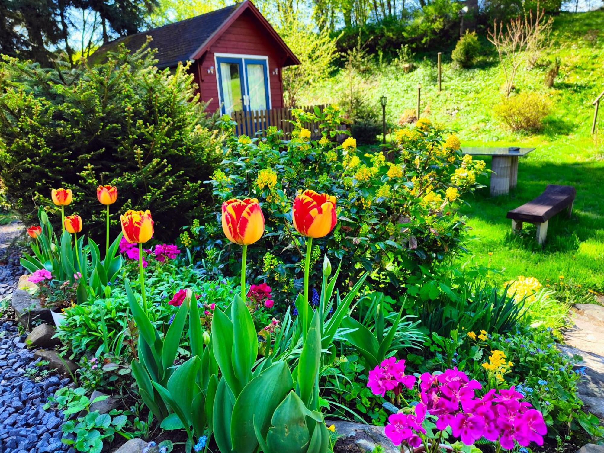 Velká Bukovina Bed And Breakfast Tvrz מראה חיצוני תמונה