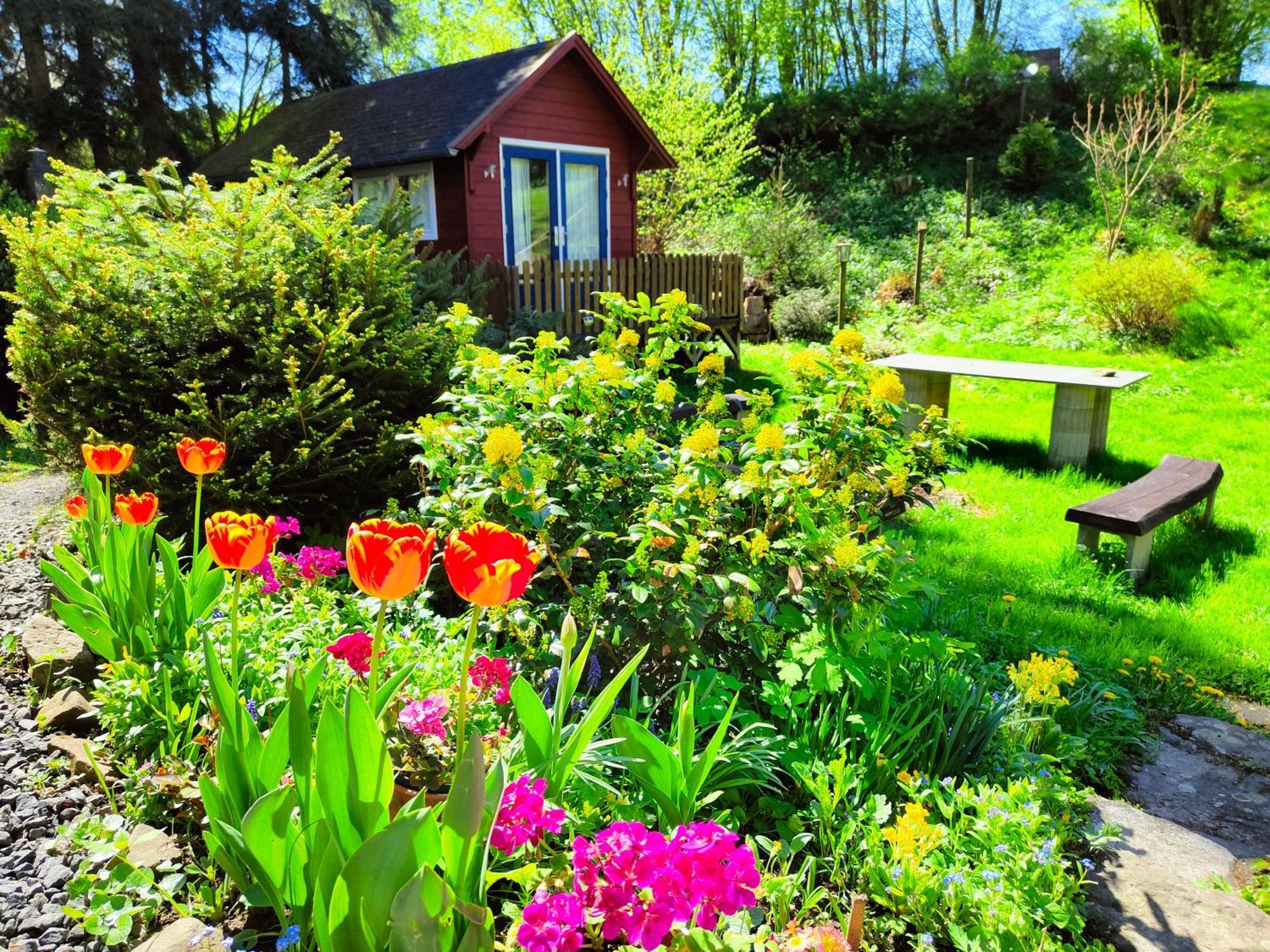 Velká Bukovina Bed And Breakfast Tvrz מראה חיצוני תמונה